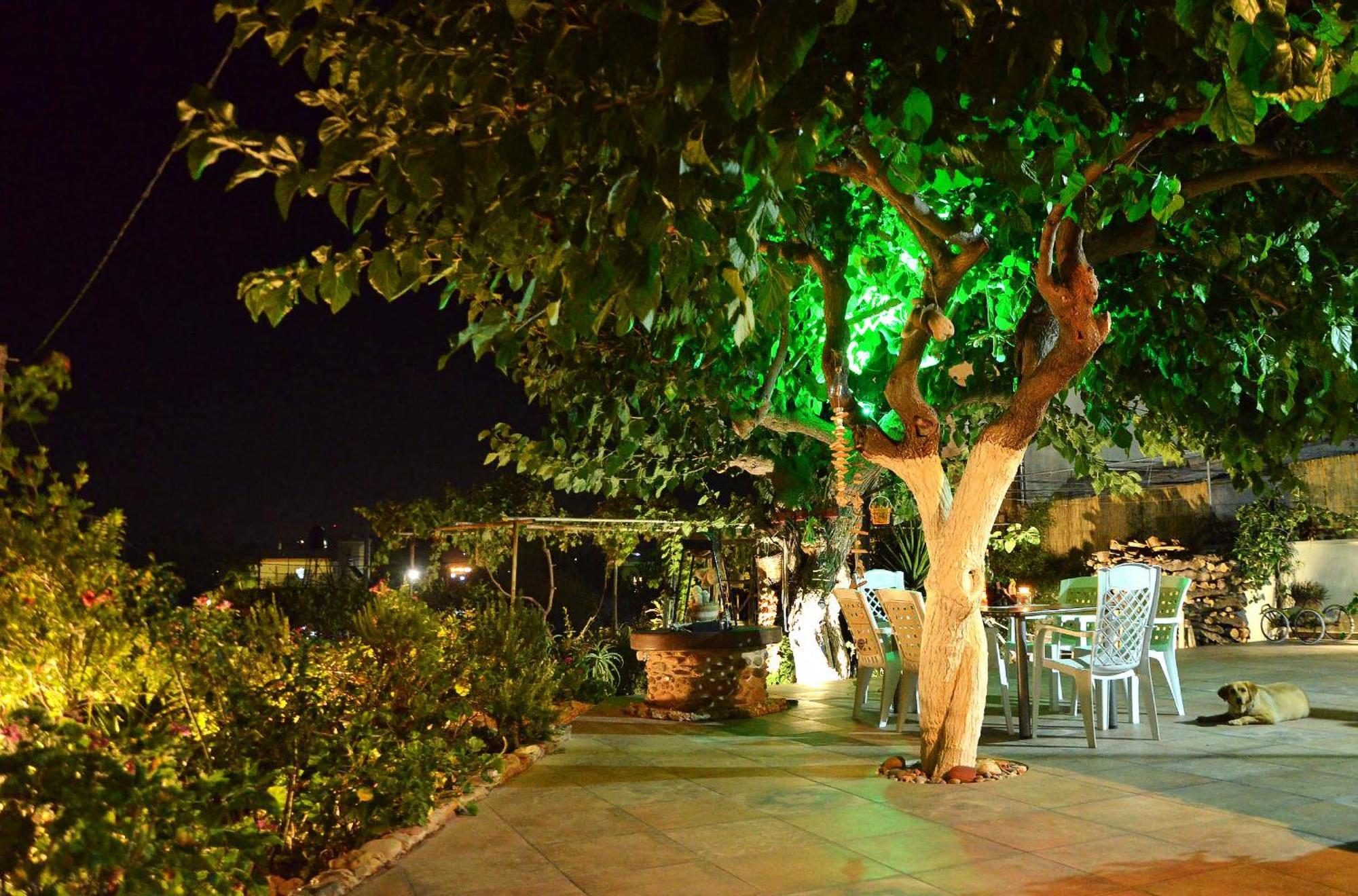 Kamara Stone House Villa Kissamos Exterior photo